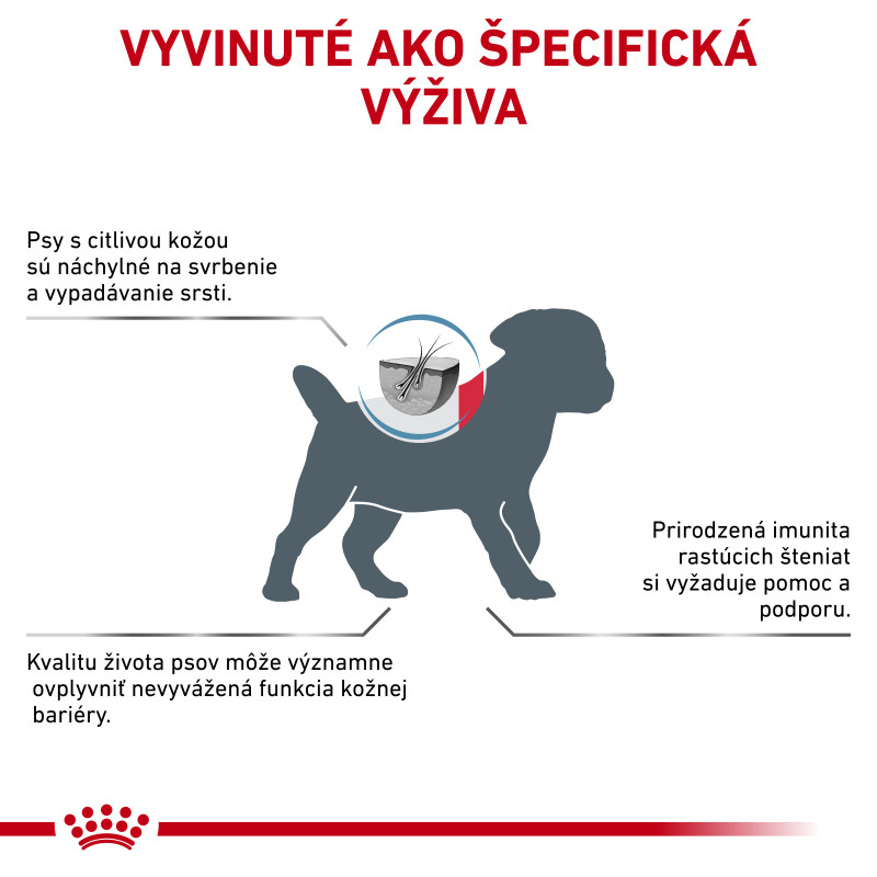 veterinary-health-nutrition-dog-skin-care-puppy-small-dog-15